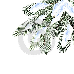 watercolor Christmas tree in the snow, hand drawn sketch of green fir branches, natural pine branch isolated on white