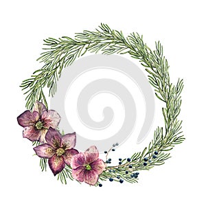 Watercolor Christmas wreath with hellebore flower and blue berry. Hand painted rosemary branch with holiday decor