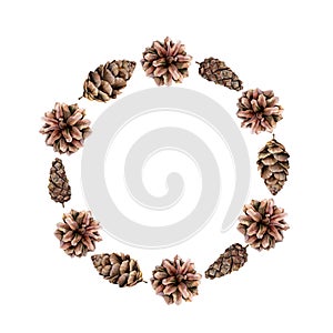 Watercolor Christmas wreath with pine cones. Hand painted fir border isolated on white background. Floral print design