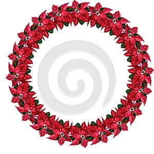 Watercolor christmas wreath with poinsettia. New year wreath for design, print or background