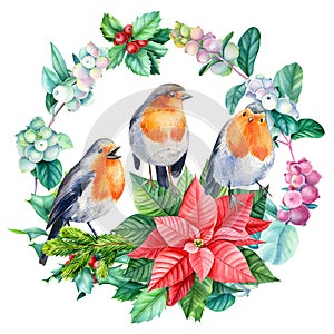Watercolor Christmas wreath with robin birds, hand drawn on isolated white background