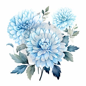 Watercolor Chrysanthemum Arrangement: Blue Hues, Isolated Illustration