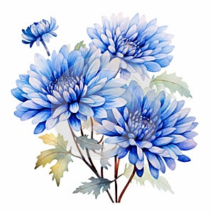 Watercolor Chrysanthemum Flowers: Chinese Art Style With Delicate Realism