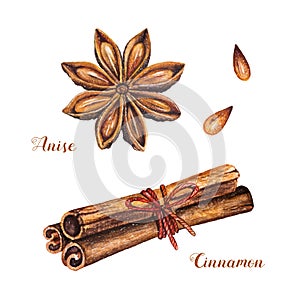Watercolor cinnamon sticks and anise