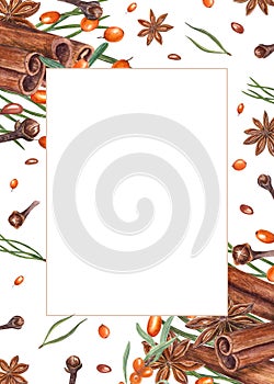 Watercolor cinnamons, star anise, sea buckthorn, pine needles, cloves. frame isolated on white. Orange berries, brown spices.