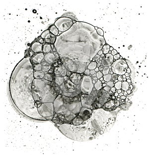 Watercolor circle bubble blot drop splash. Graphic painting. Abstract texture black color stain on white background