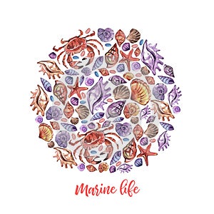 Watercolor circle Cartoon marine life for decoration design on white background. Ocean cockleshell.