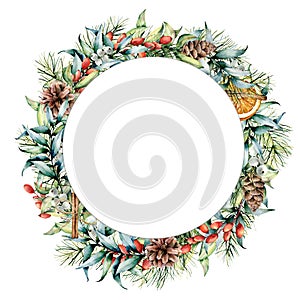 Watercolor circle template with winter plants and berries. Hand painted fir and eucalyptus leaves and branches