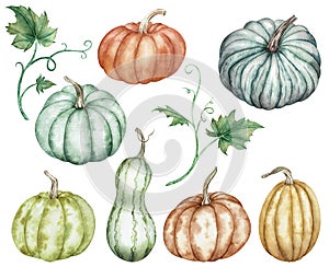 Watercolor clipart of colorful pumpkins green, red, orange, blue and leaves. Thanksgiving collection of pumpkin harvest.