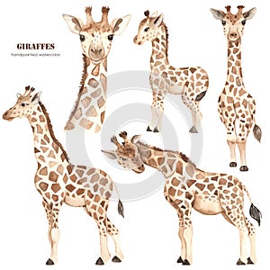 Watercolor clipart with cute cartoon giraffes, family, mom and baby, giraffe head. photo