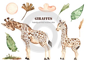 Watercolor clipart with cute giraffes mom and baby, palm leaves, cloud, savanna grass