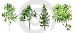Watercolor cliparts of trees