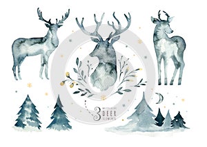 Watercolor closeup portrait of blue deer. Isolated on white background. Hand drawn christmas indigo illustration