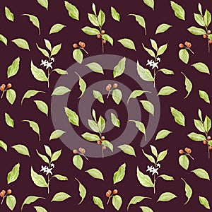 Watercolor coffee seamless pattern. Hand painted branches of coffee, red coffee beans, flowers