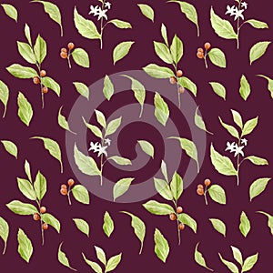 Watercolor coffee seamless pattern. Hand painted branches of coffee, red coffee beans, flowers