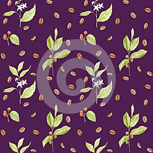 Watercolor coffee seamless pattern. Hand painted branches of coffee, red coffee beans, flowers