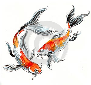 Watercolor coi fishes