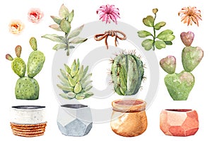 Watercolor collection cactus cacti and succulents in pots. Elements layer path.