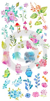 Watercolor collection of color flowers, birds, mushrooms
