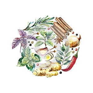 Watercolor collection of fresh herbs and spices .