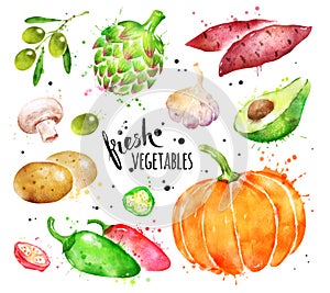 Watercolor collection of fresh vegetables