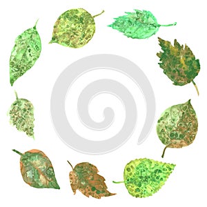 Watercolor collection of leaves, paint stains. green brown yellow plants isolated on white background. simple ornament, Can be