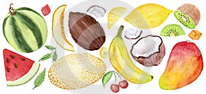 Watercolor collection. Mango, coconut, kiwi, lemon, cherry, melon, watermelon, banana isolated on a white background.