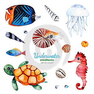 Watercolor collection with multicolored coral fish