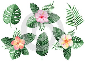 Watercolor color tropical flowers and palm leaves compositions set on white background