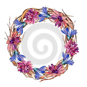 Watercolor colorful african daisy flower. Floral botanical flower. Frame border ornament square.