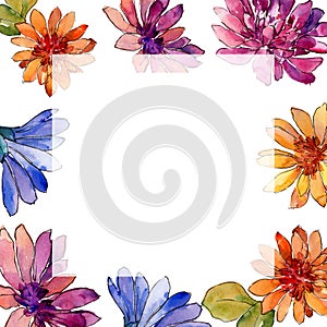 Watercolor colorful african daisy flower. Floral botanical flower. Frame border ornament square.