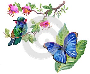 Watercolor colorful Bird and butterfly with leaves and flowers.