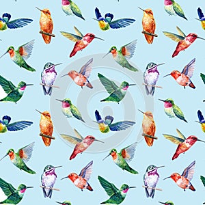 Watercolor colorful birds, hand drawn hummingbirds background. Seamless pattern, backdrop design, fabric, wallpaper