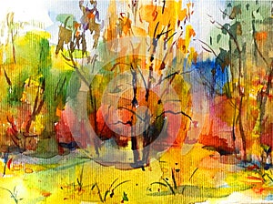 Watercolor colorful bright textured abstract background handmade . Landscape . Painting of the Kiev botanical garden in autumn ,