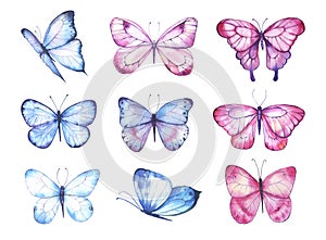 Watercolor colorful butterflies, isolated on white background. blue, pink and red butterfly spring illustration.