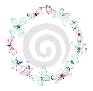 Watercolor colorful butterflies wreath, isolated butterfly on white background. blue, yellow, pink and red butterfly