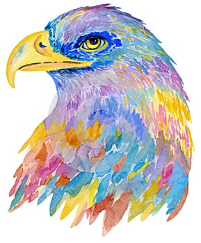 Watercolor colorful eagle head. Hand painting bird illustration on white background.
