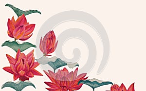 Watercolor colorful lotus flowers, wallpaper, background, postcard. Luxurious flowers.