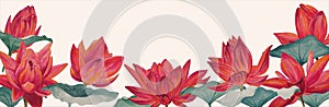 Watercolor colorful lotus flowers, wallpaper, background, postcard. Luxurious flowers.