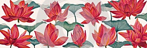 Watercolor colorful lotus flowers, wallpaper, background, postcard. Luxurious flowers.