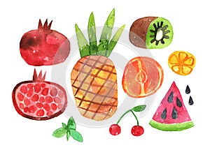 Watercolor colorful set of tropical fruits with clipping mask