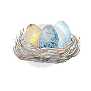 Watercolor colorful three eggs in wooden bird nest isolated on the white background