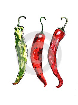 Watercolor colorful vegetables set red hot chili peppers, capsaicin closeup isolated on white background