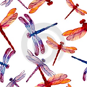 Watercolor colorfull dragonflys in seamless pattern