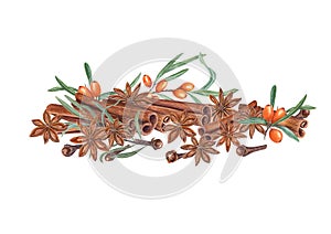 Watercolor composition of cinnamons, star anise, cloves, sea buckthorn. Illustration isolated on white background. Set for the