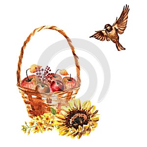 Watercolor composition with flowers, sparrow and wooden basket with apples