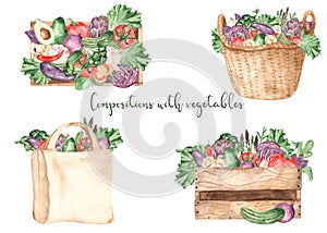 Watercolor composition with fresh vegetables and herbs