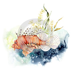 Watercolor composition of lionfish and kelp. Hand painted underwater illustration with coral reef and laminaria isolated