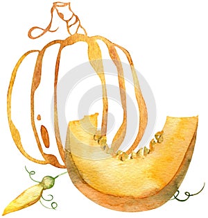 Watercolor composition of orange pumpkin slice and silhouette pumpkin. Thanksgiving day pumpkins.