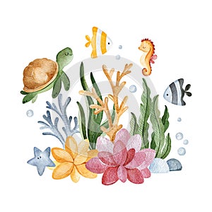 Watercolor composition with seaweeds,sea creatures,seashells and corals.Underwater collection